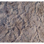 Proline Seamless Roman Slate